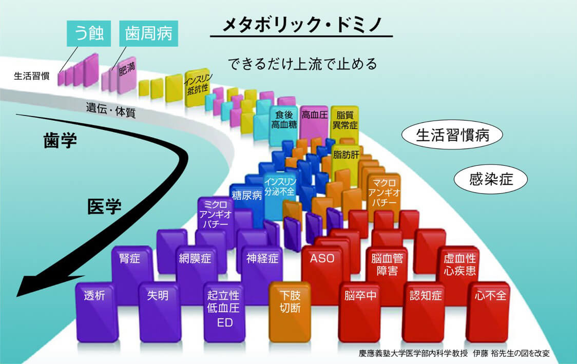 メタボリックドミノ